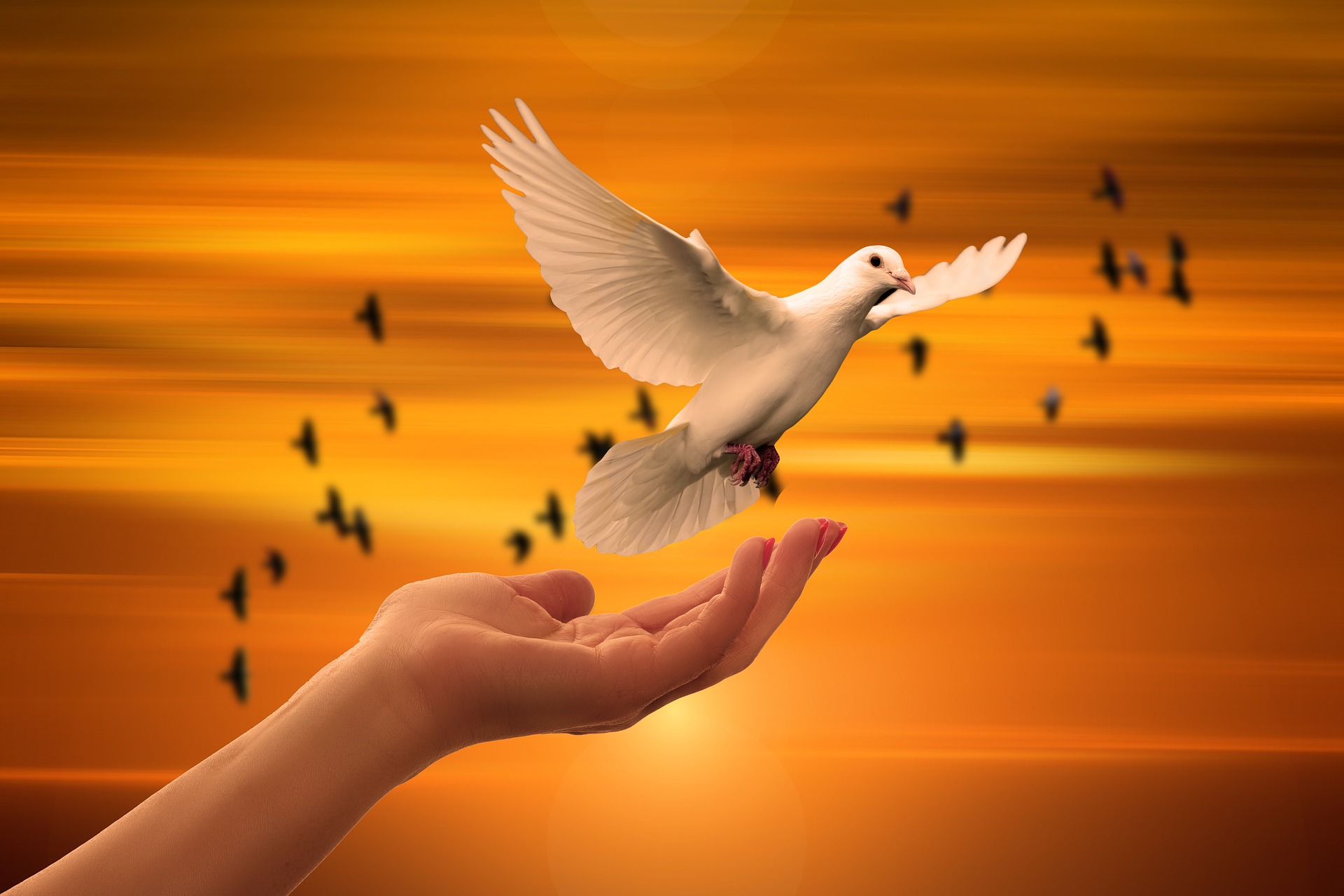 Read more about the article הילינג
